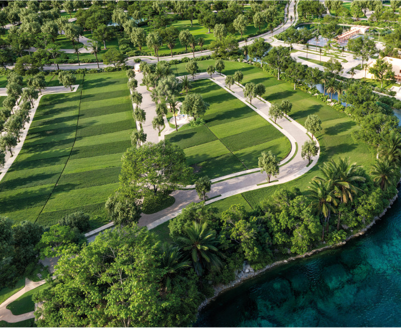 Odoo • Imagen y texto