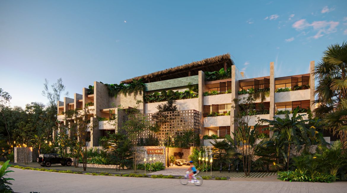 Odoo • Imagen y texto