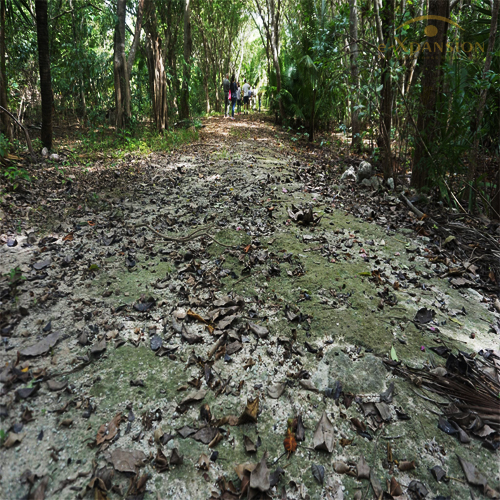 TERRENO RIVIERA MAYA