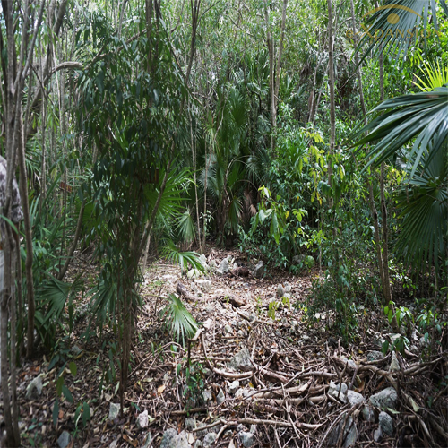 TERRENO RIVIERA MAYA