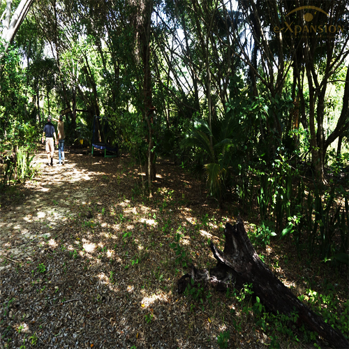 TERRENO RIVIERA MAYA