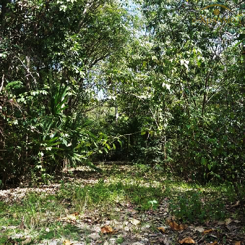 TERRENO RIVIERA MAYA